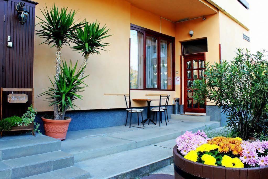 Guest house Flora Panzio